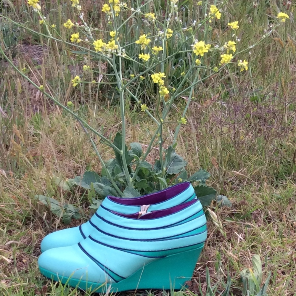 Blue boots - Picture 2 of 4